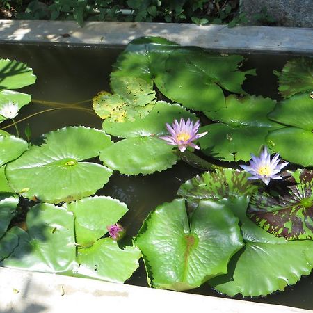Willa Atapattu Walawwa Galle Zewnętrze zdjęcie